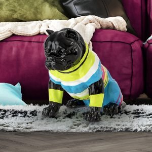 ROCKY- PITBULL MEDIANO NEGRO-RAYAS