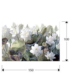 NENUFARES I- FOTOGRAFIA 150x100