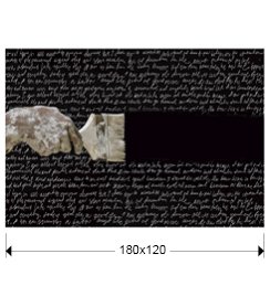 POESIA- FOTOGRAFIA 180x120