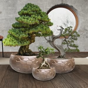 CANELA- SET 3 MACETEROS- BRONCE