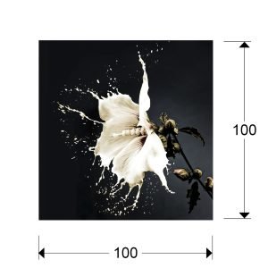 FOTO ·SPLASH· 100x100