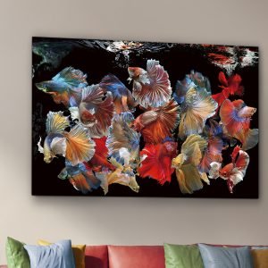 PECES SIAM- FOTO 150x100