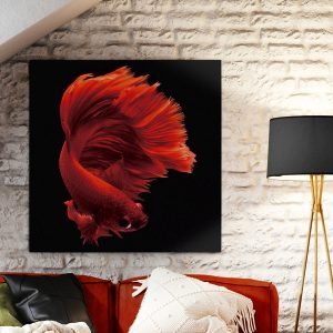 ROJO SIAM- FOTO 100x100