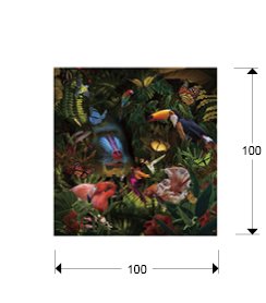 SELVATICA- FOTOGRAFIA 100x100