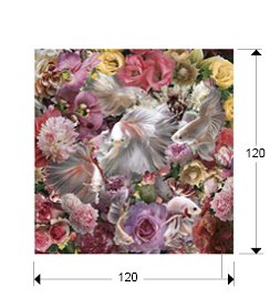 PECES LUCHADOR SIAM- FOTO 120x120